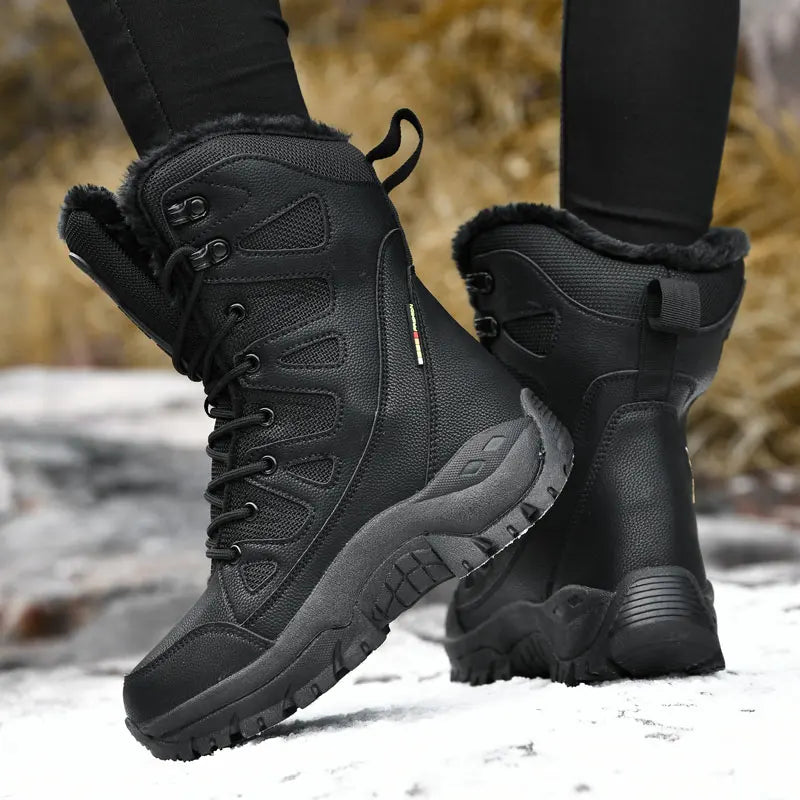 33